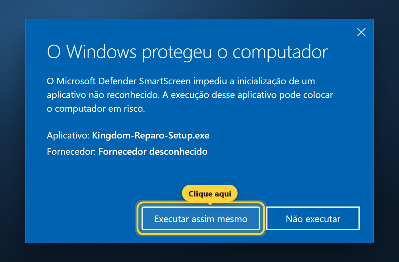 Tela azul do Windows com o botão Executar assim mesmo destacado